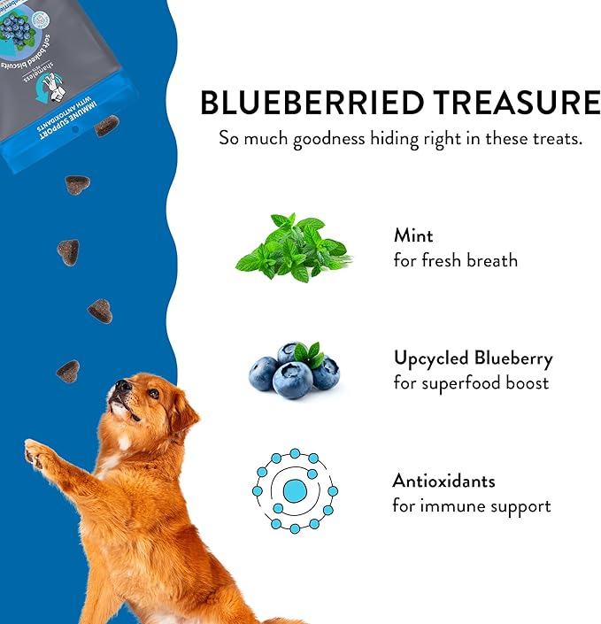 Shameless Pets Soft-Baked Dog Treats, Blueberried Treasure - Natural & Healthy Dog Chews with Mint for Immune Support - Baked & Made in USA, Free from Grain, Corn & Soy - 3-Pack