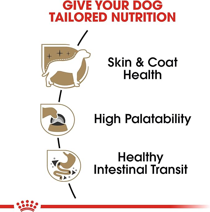 Royal Canin Breed Health Nutrition Chihuahua Adult Loaf in Sauce Dog Food, 3 oz (Pack of 6)