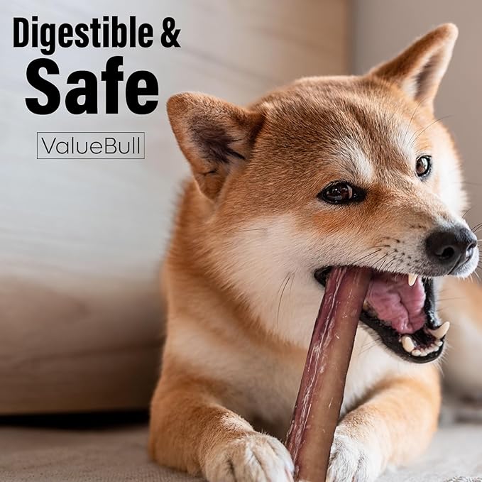 ValueBull Bully Sticks for Large Dogs, Jumbo 6 Inch, 100 Count Bulk Pack - All Natural, Grass Fed, Single Ingredient, Long Lasting Dog Treats for Aggressive Chewers