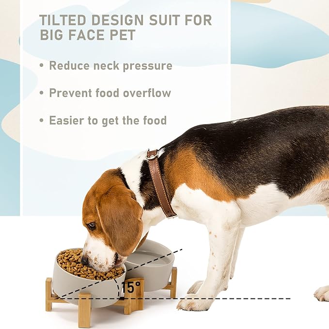 SPUNKYJUNKY 15° Slanted Ceramic Dog and Cat Bowl with Wooden Stand, Tilted Bulldog Food and Water Bowl No Slip Non-Spill for Cats Medium Dogs Big Face Pets 28.7 OZ (3.6 Cups, Grey × 2)