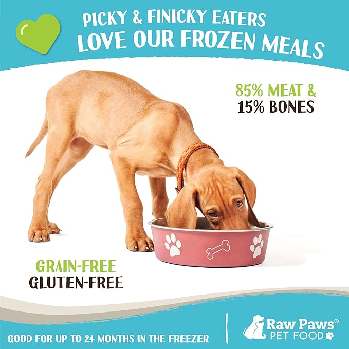 Raw Paws Signature Pet Food for Dogs & Cats - Wild Caught Salmon, 1-lb Rolls (20 Pack) Made in USA Salmon Dog Food - Raw Frozen Fish Dog Food - Sensitive Stomach Cat Food