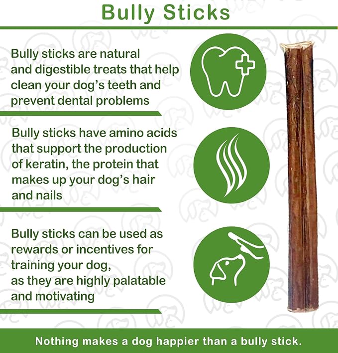 Bully Sticks for Dogs | Natural Long Lasting Pizzle Sticks | Single Ingredient Beef Pizzle | Dog Treats for Aggressive Chewers | 6-Inch Standard Thickness (Pack of 10)