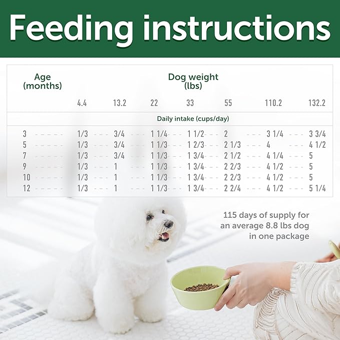 Nature's Protection Superior Care White Dogs Grain-Free Dry Dog Food - High Protein, Tear Stain Dog Food for All Breeds Light Coated Puppies, Fresh Pet Meal, White Fish, 22 lb