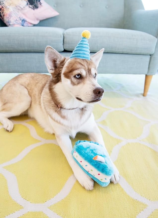 ZippyPaws Birthday Cake- Dog Squeaky Toys to Keep Them Busy, Funny Food Plush for Small, Medium, & Large Dogs, Cute Stuffed Puppy Toy, Pet Products, Gift for Dogs of All Breeds, Soft and Cuddly- Blue