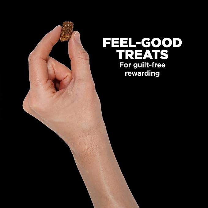 Go! Solutions Digestion + Gut Health - Salmon Dog Treats - Soft and Chewy Dog Treats, 6 oz Bag
