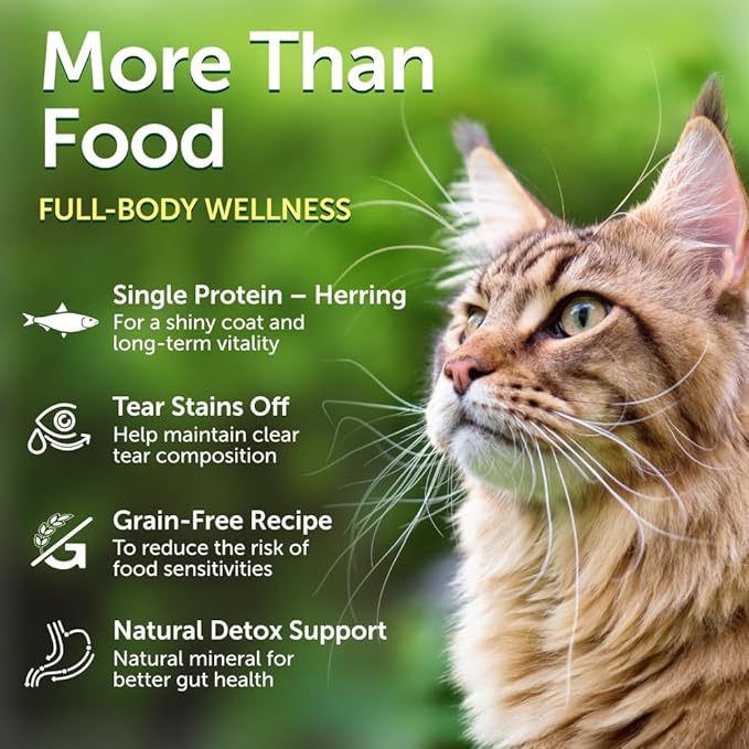 Nature's Protection Dry Cat Food - Adult Red Coated Cat Hard Kibble, Grain-Free Healthy Nutrition Indoor & Outdoor Hairball Care for Cats, 14.11 oz Bag