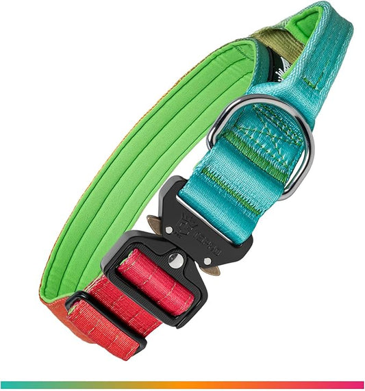 TSPRO Premium Dog Collars Tactical Dog Collar with Handle and Heavy Duty Quick-Release Metal Buckle Durable Thick and Adjustable for Medium to Large Dogs (Vitality Gradient M)