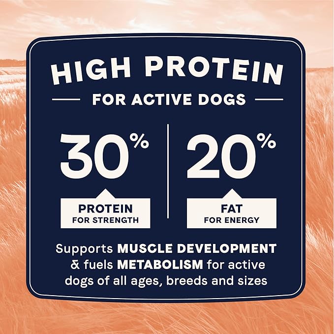 Canidae All Life Stages High Protein Dry Dog Food, Salmon & Ancient Grains Recipe, 4 lbs.