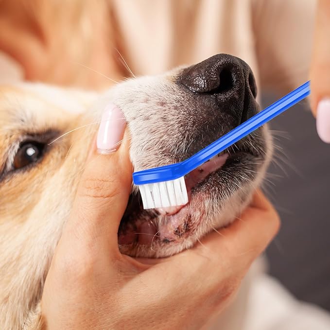 12Pcs Toothbrush for Dogs Small Breed,Dual Headed Dog Toothbrush,Dental Hygiene Soft Toothbrushs to Clean Pet Teeth,Dog Tooth Brush for Small to Large Dogs, Cats and Most Pets, 12 Color