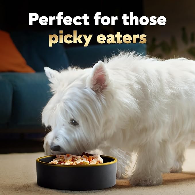 Cesar Simply Crafted Adult Wet Dog Food Meal Topper, Chicken, Carrots & Green Beans, 1.3oz. (10 Count, Pack of 1)