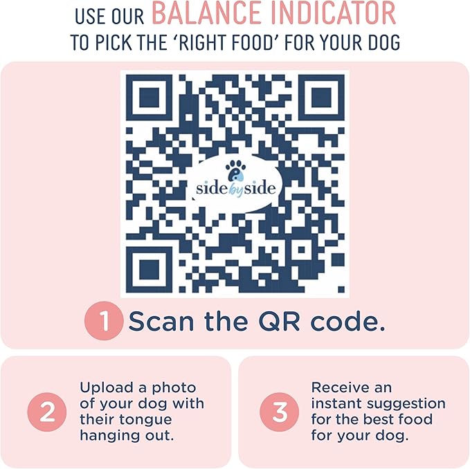 Side by Side Beef & Salmon Stew, Neutral Dog Food for All Breeds, Made of Whole Foods, Every Ingredient Has a Purpose, No Artificial Additives, Fillers, or Gums, Ready to Serve, 12.5 oz, 6 Pack
