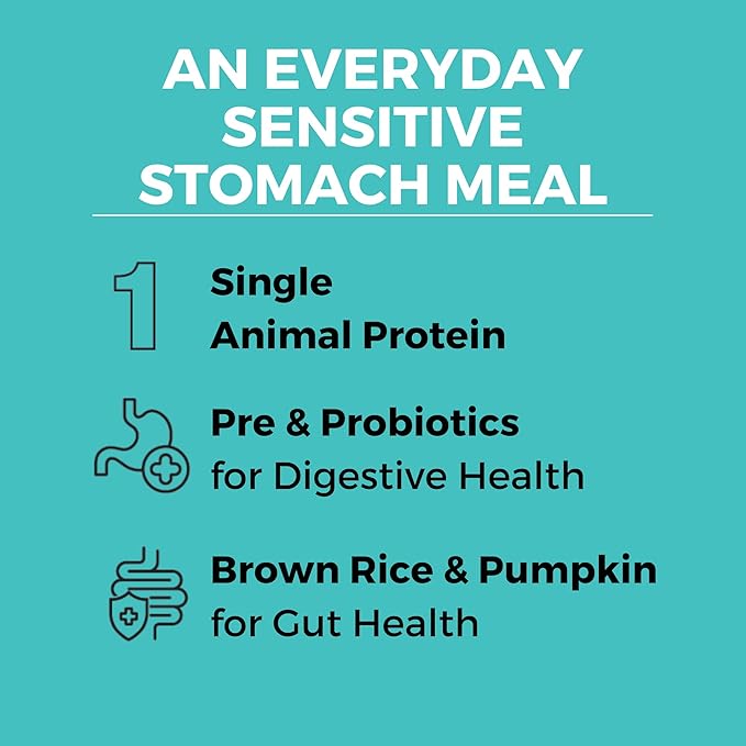 KOHA Limited Ingredient Bland Diet Dry Food for Dogs - Beef & Brown Rice Recipe, Sensitive Stomach Dog Food - Pumpkin for Digestive Support, 20 lbs