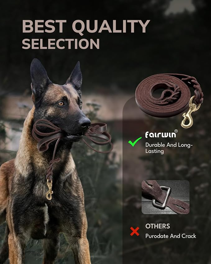 FAIRWIN Braided Leather Dog Training Leash 6 Foot - Dog Leather Leashes Heavy Duty for Large Medium Dogs (Brown, L:3/4" x 6ft)