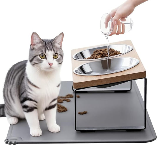 Upgraded Elevated Cat Bowls with Food Mat,15°Tilted Stand Anti Vomiting Raised Cat Dishes for Food and Water,2 Stainless Steel Bowls for Cats and Puppy