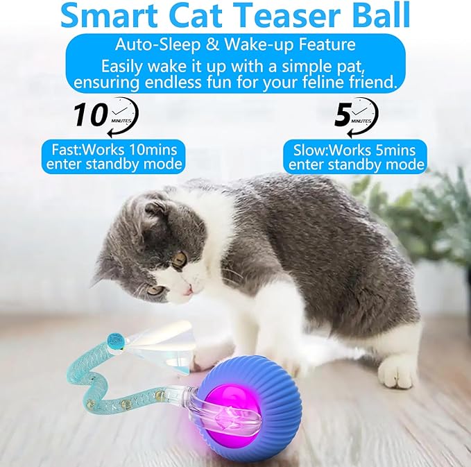 Interactive Cat Toys for Indoor Cats, Interactive Cat Ball Toy with Elastic Mesh Tail, Automatic Cat/Kitten Toys with Chirping & Motion Activate, Cat Toys for Bored Indoor(Blue)