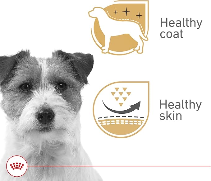 Royal Canin Canine Health Nutrition Adult Beauty Loaf in Sauce Dog Food, 5.2 oz (Pack of 24)