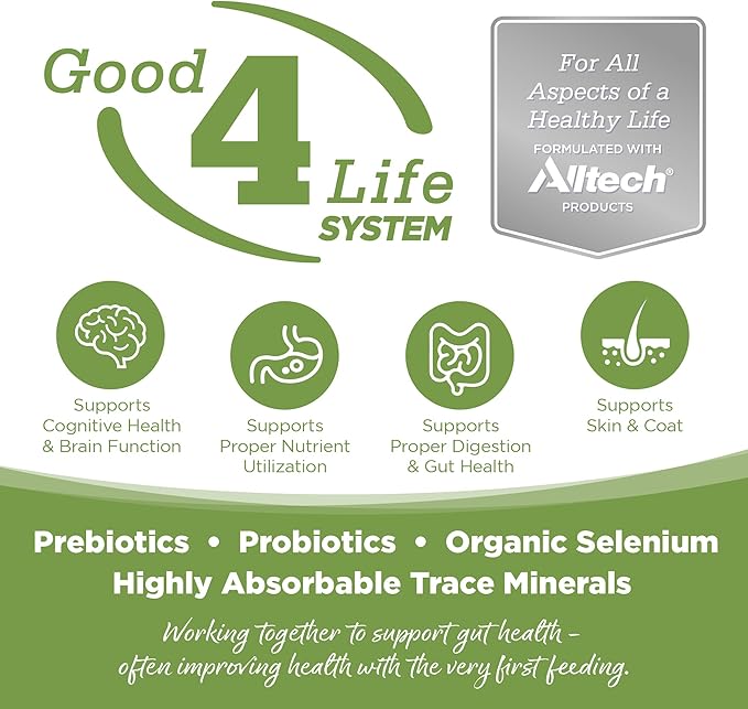 NutriSource Element Series Coastal Plains Dry Dog Food, Turkey, Salmon, and Whitefish, 24LB