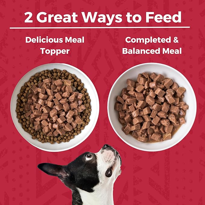 KOHA Minimal Ingredient Beef Stew for Dogs, High Protein Limited Ingredient Dog Food, 12.7oz Cans (Case of 12)