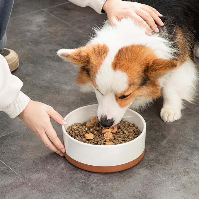 MALACASA Dog Bowls, Ceramic Dog Food and Water Bowls for Large Size Dogs, 6 Cups Capacity Pet Bowl for Large Dogs.1-Pack (L-6 Cups)