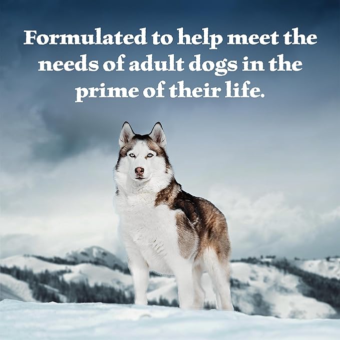 Blue Buffalo Wilderness High Protein Natural Adult Wet Dog Food Plus Wholesome Grains, Chicken & Salmon Grill 12.5-oz Cans (Pack of 12)