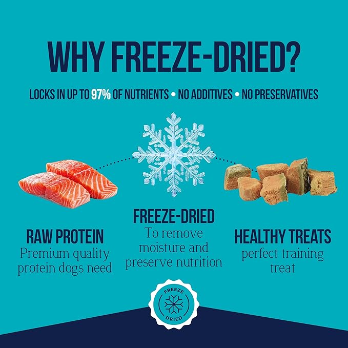 Stewart Single Ingredient Freeze Dried Raw Dog Treats, Wild Salmon, 2.75 Ounce, Approx. 55 Pieces per Resealable Tub, Training Treats or Meal Topper, High Protein, Grain Free, Gluten Free