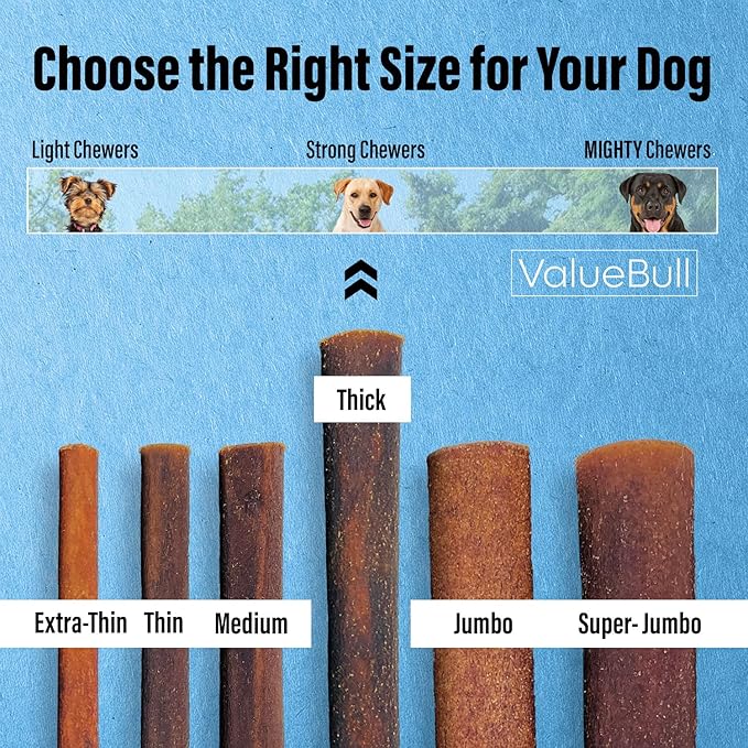ValueBull Collagen Sticks for Dogs, 12 Inch Thick Chews, Natural Long-Lasting Dog Treats, 50 Count Bulk Pack - Supports Joints, Skin & Coat with Chondroitin & Glucosamine