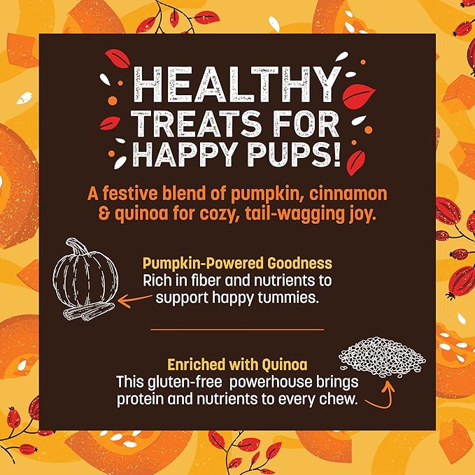 Earth Animal Wisdom Air-Dried Seasonal Pumpkin Spice Recipe Premium Natural Jerky Strips Dog Treats, 12 oz. (4 oz. x 3)