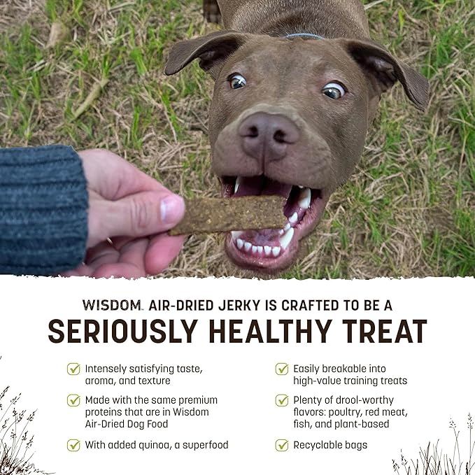 Earth Animal Wisdom Air-Dried Jerky From the Seed Recipe | Dog Treats | Dog Snacks | Premium Natural Plant-Based Jerky Strips | 4 oz |Made in the USA (Pack of 1)