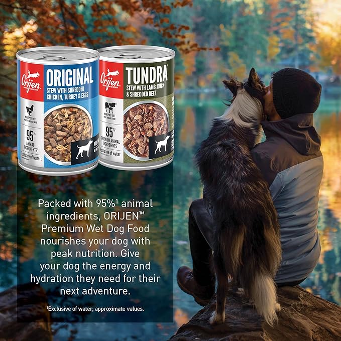 ORIJEN Real Meat Shreds Wet Dog Food Variety Pack: Tundra + Original Recipes 12.8oz Cans (6 Count, 3 of Each)
