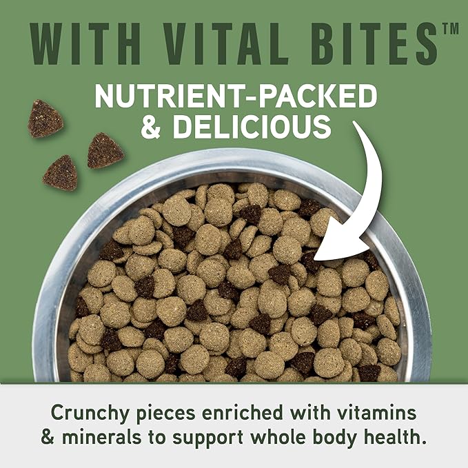 Natural Balance Specialized Nutrition Dry Dog Food with Lamb and Oatmeal for Dogs, Digestive & Immune Health Food, Natural Ingredients with Added Vitamins & Minerals - 3.5 lbs (Pack of 2)