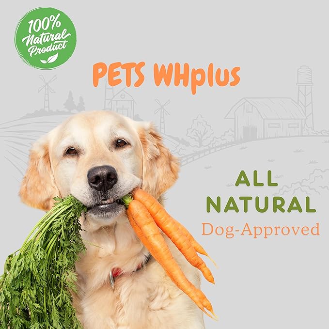 Beef Sausages Dog Treats, 100% Natural, 6" (5 Count) – Rawhide-Free, Long-Lasting Chews – Grass-Fed, High Protein, Single Ingredient, Grain-Free, Easily Digestible, Low Fat