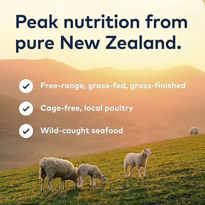ZIWI Peak Canned Wet Cat Food – All Natural, High Protein, Grain Free, Limited Ingredient, with Superfoods (Mackerel, Case of 12, 6.5oz Cans)