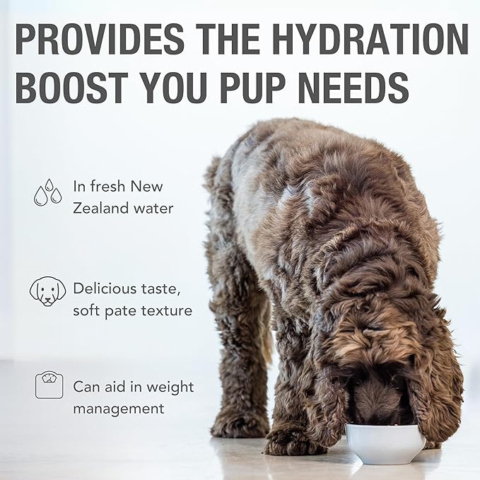 K9 Natural Wet Dog Food Pate, Lamb & King Salmon Feast, 13 Oz Cans (Pack of 12), Grain Free, Made in New Zealand with Grass-Fed, Free-Range Lamb and Sustainably Caught King Salmon