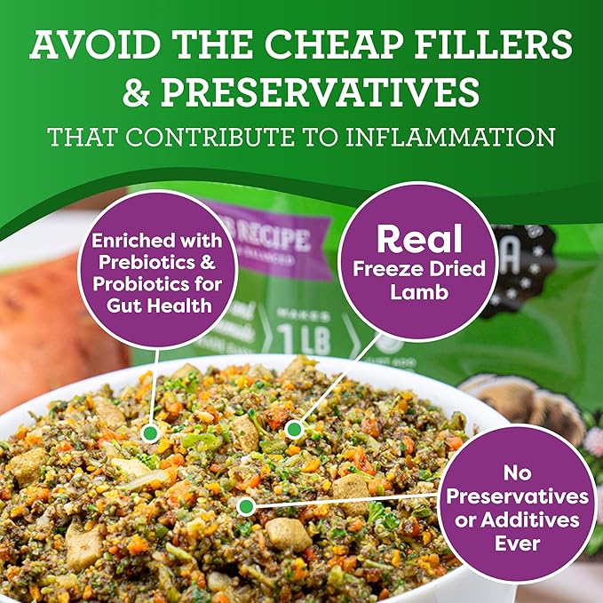Dr. Harvey's Specialty Diet Limited Ingredient - Human Grade Dog Food for Dogs with Sensitivities - Lamb Recipe (Trial Size, 5.5 oz)