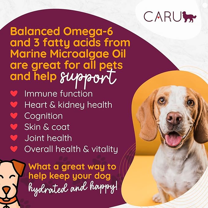 Caru - Daily Dish Turkey with Lamb Stew, Natural Adult Wet Dog Food with Real Chunks of Turkey & Lamb, with Added Vitamins & Minerals, Non-GMO Ingredients (12.5 oz) - 12 Pack