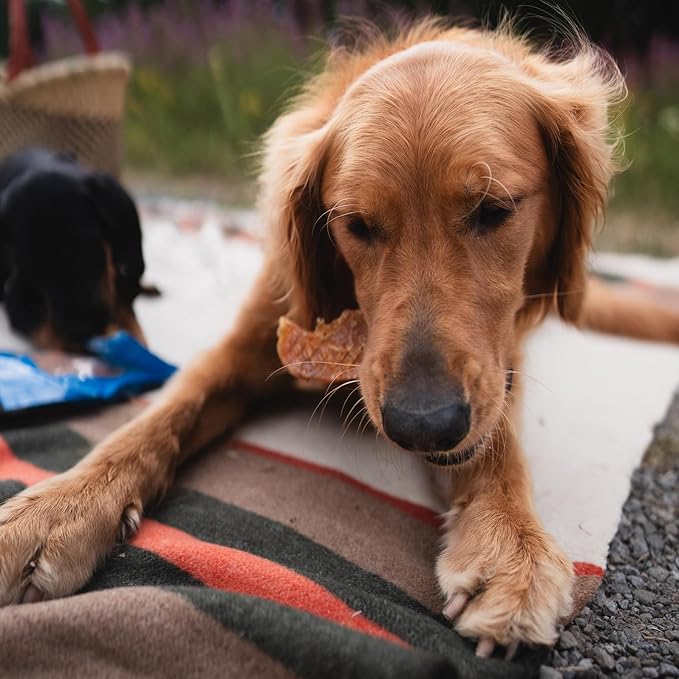 Premium Hickory Smoked Chicken Jerky Dog Treats - 8 oz (Pack of 1) - Dehydrated Poultry Fillets, No Additives, 100% Natural Protein, Grain-Free