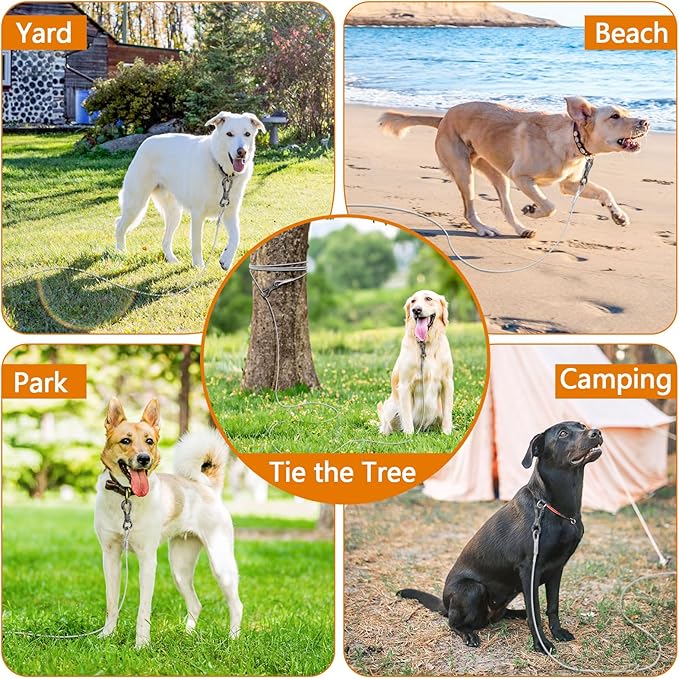 XiaZ Dog Tie Out Cable 20ft, Heavy Duty Dog Chains for Outside with Lockable Hook, Pet Runner Cable Leads for Yard, Dogs Line Tether for Small Medium Large Dogs Up to 250 LBS