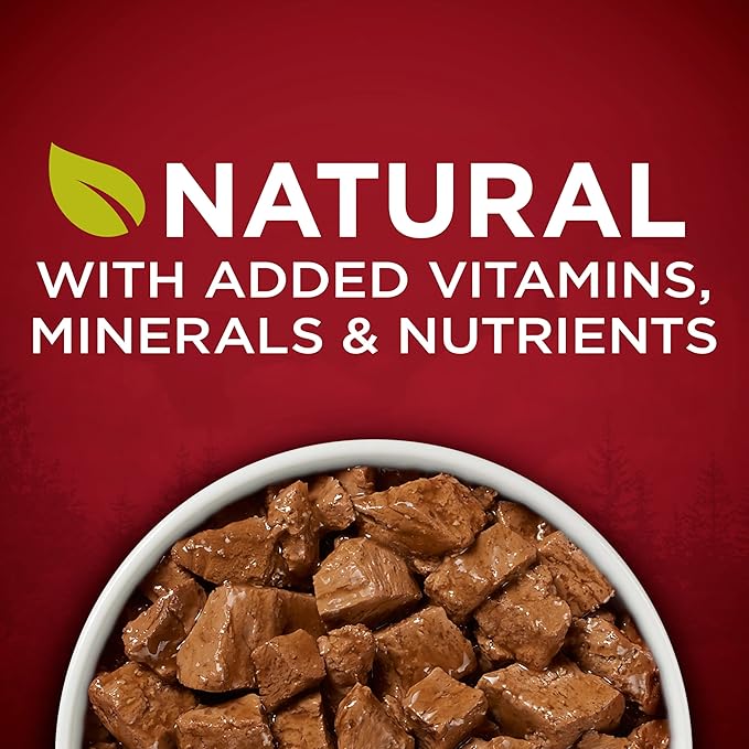 Purina ONE High Protein Wet Dog Food True Instinct Tender Cuts in Dog Food Gravy With Real Chicken and Duck - (Pack of 12) 13 oz. Cans