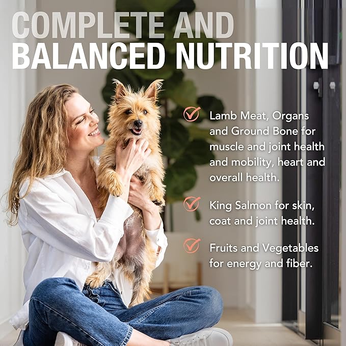 K9 Natural Wet Dog Food Pate, Lamb & King Salmon Feast, 6 Oz Cans (Pack of 12), Grain Free, Made in New Zealand with Grass-Fed, Free-Range Lamb and Sustainably Caught King Salmon