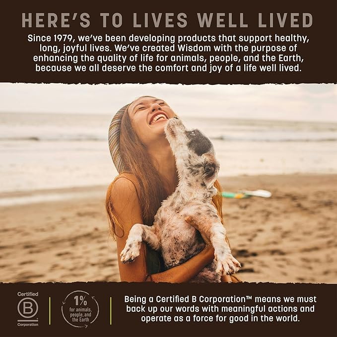 Earth Animal Wisdom Air-Dried Jerky From the Seed Recipe | Dog Treats | Dog Snacks | Premium Natural Plant-Based Jerky Strips | 4 oz |Made in the USA (Pack of 1)