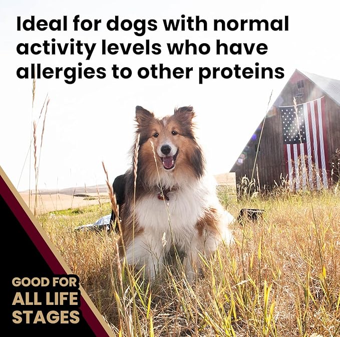 VICTOR Super Premium Dog Food – Lamb Meal & Brown Rice Formula - Gluten-Free Dry Dog Food for All Normally Active Dogs of All Life Stages – Ideal for Dogs with Meat Protein Allergies, 5 lb