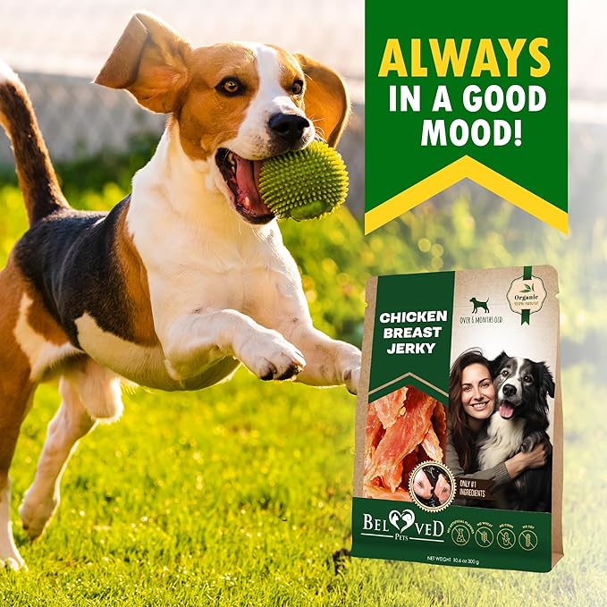 Beloved Pets Chicken Jerky Dog Treats 11 OZ - All Natural and Healthy Snacks for Large & Small Dogs - Grain Free and High Protein Meat - Human Grade Pet Chews