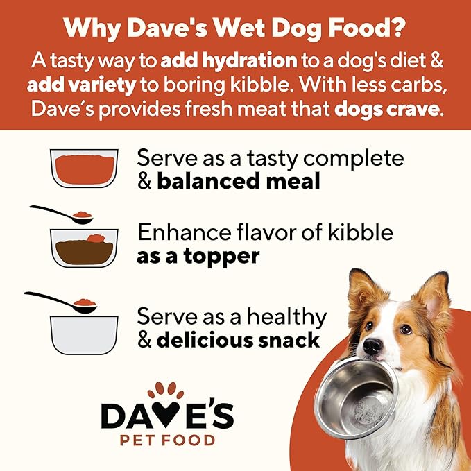Dave’s Dog Food Grain Free Dog Food Wet (Pork & Sweet Potato in Broth), Made in Canada Naturally Healthy Canned Topper, Gluten Free, 13.2 oz (12 Pack)