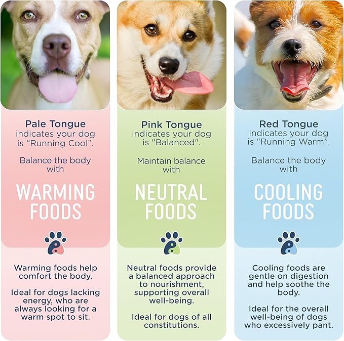 Side by Side Chicken & Lamb Stew, Warming Dog Food for All Breeds, Made of Whole Foods, Every Ingredient Has a Purpose, No Artificial Additives, Fillers, or Gums, Ready to Serve, 12.5 oz, Case of 12