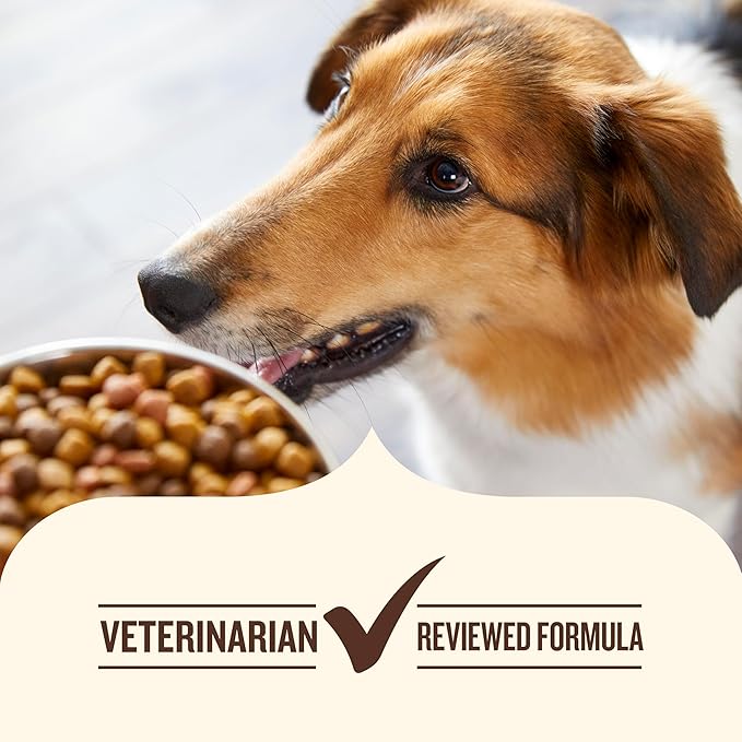 Nutrish Premium Paté Wet Dog Food, Real Chicken & Apple Recipe Whole Health Blend, 13 oz. Can, 12 Count (Rachael Ray)