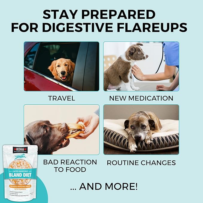 KOHA Pet Limited Ingredient Bland Diet for Dogs Value Pack, Chicken and White Rice Recipe Sensitive Stomach Wet Dog Food, Gentle Formula Easy to Digest Bland Diet Dog Food, Pack of 30