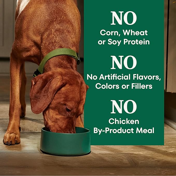 Nutro Natural Choice Adult Large Breed Dog Food Dry, Chicken & Brown Rice Recipe, 13 lb. Bag