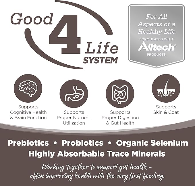 NutriSource Grain Free High Plains Select Recipe Dog Food, Premium Wet Dog Food, 12.3 Ounce (Pack of 12)