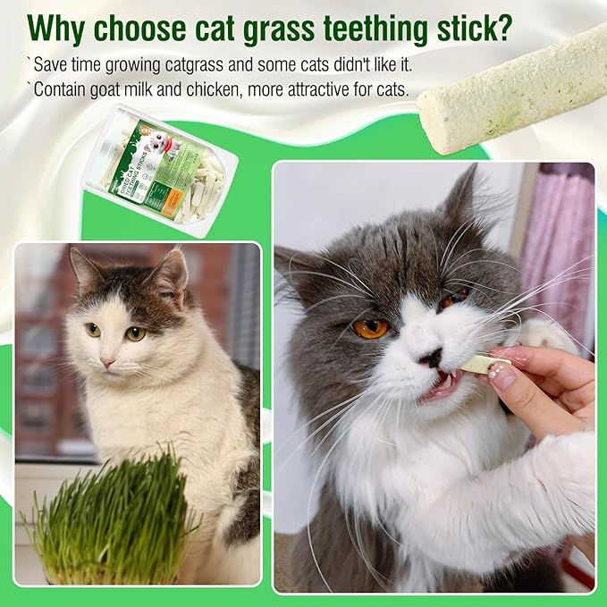 60g Cat Grass Teething Sticks with Goat Milk Favor, Edible Freezed Drying Cat Grass Treats, Cat Snacks for Hairball Removal and Dental Care