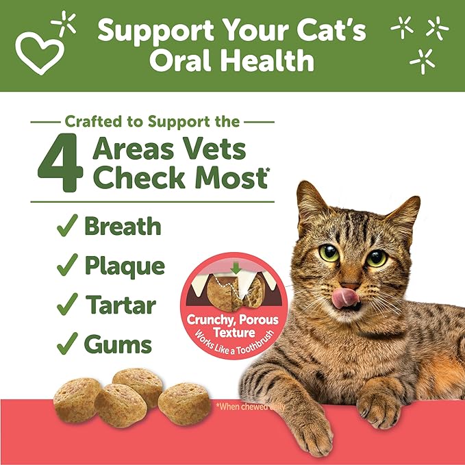 WHIMZEES Wellness Cat Dental Treats, Natural Chews, Chicken and Salmon Flavor, (2 Ounce Bag)